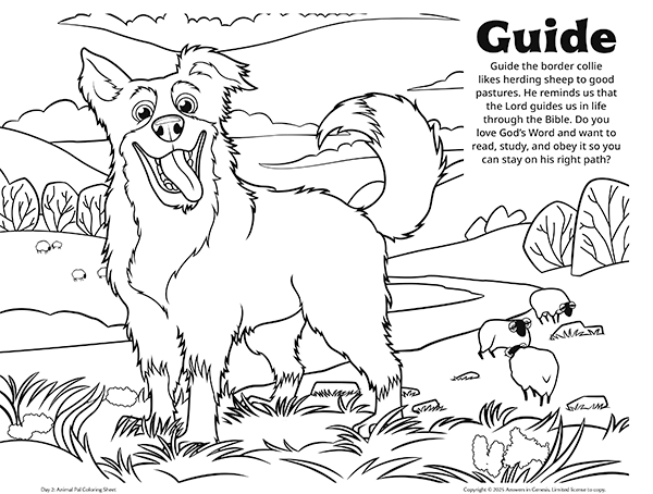 Coloring Page