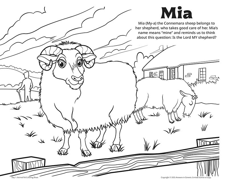 Coloring Page