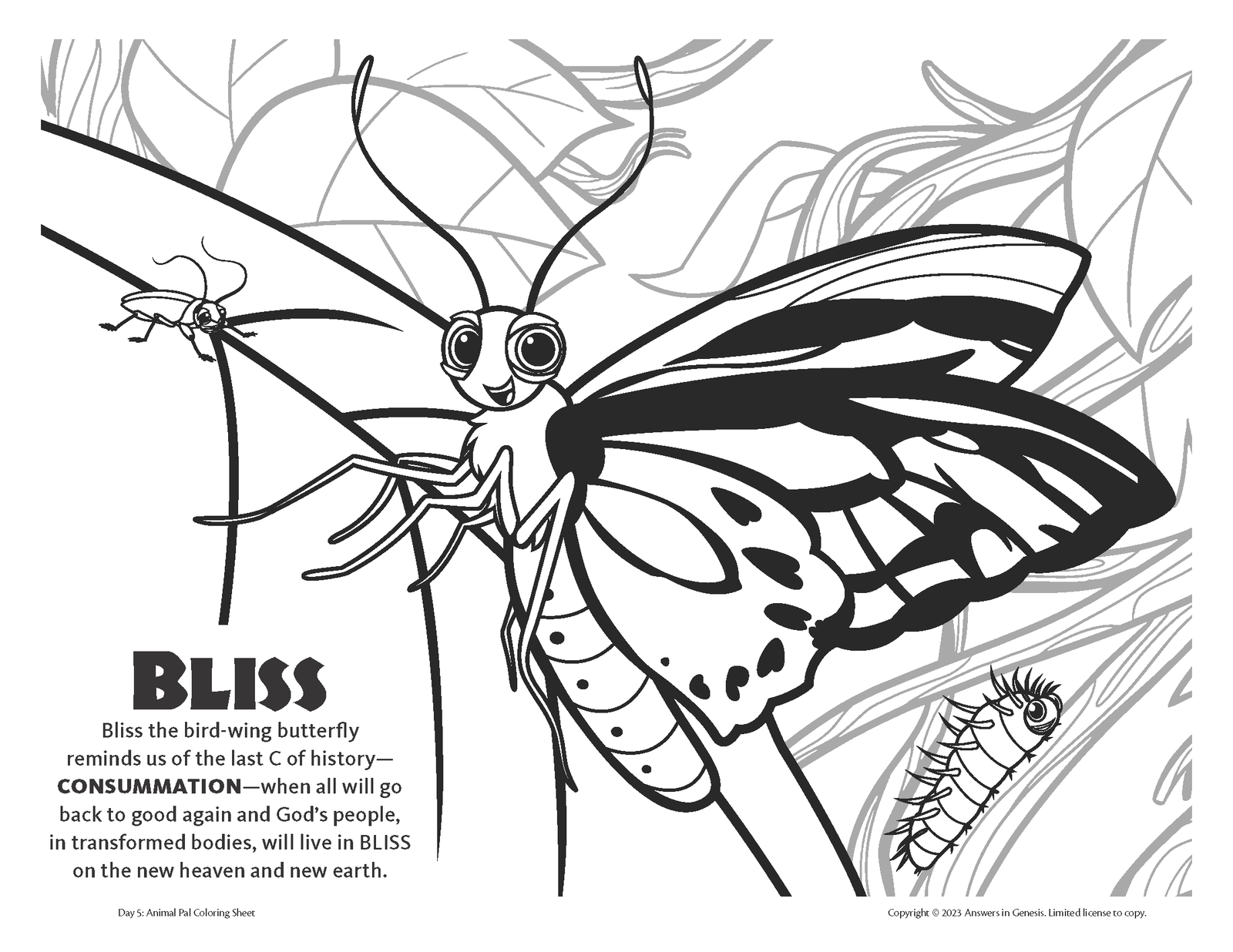 Bliss the Birdwing Butterfly