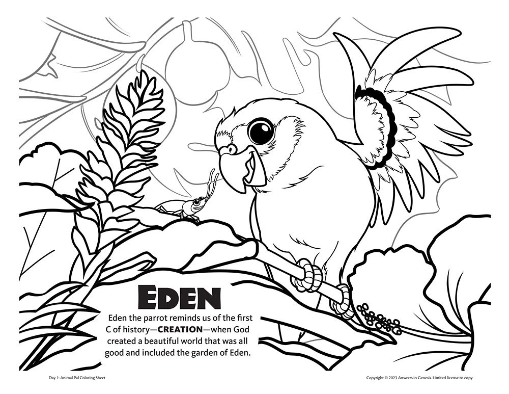 Eden the Green Parrot