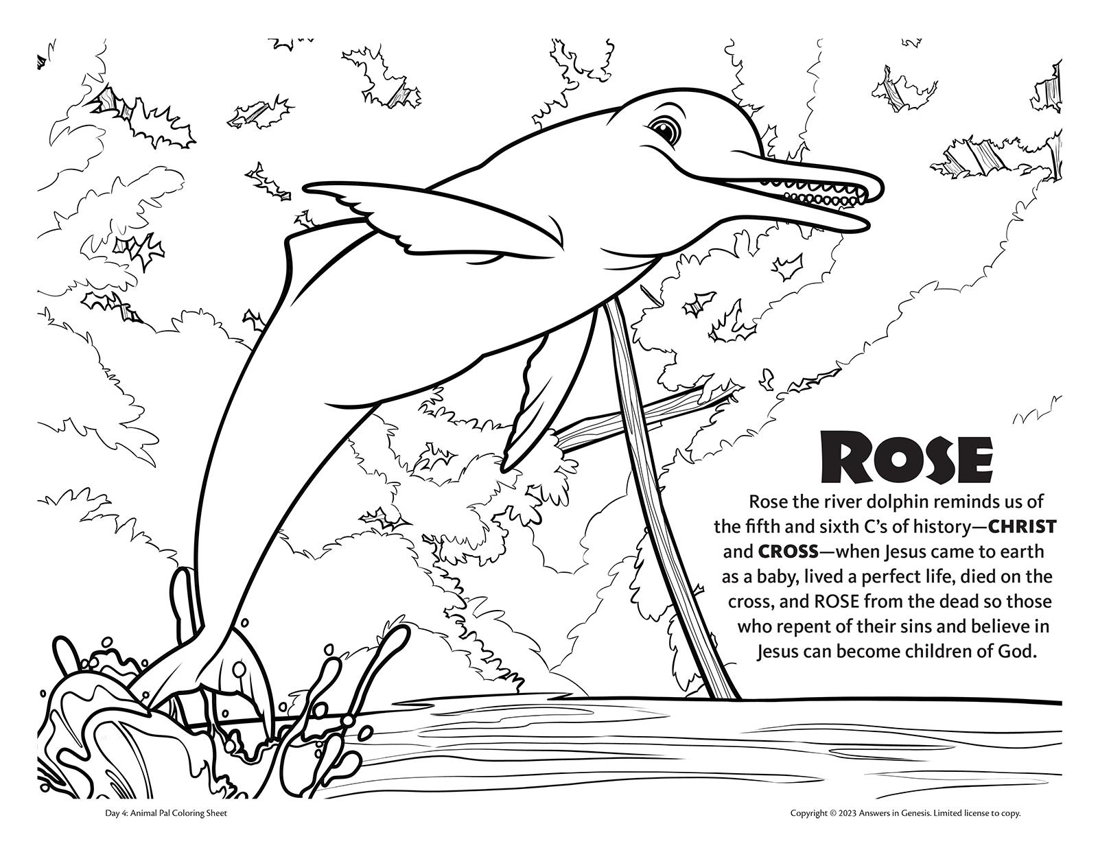 Rose the Pink River Dolphin