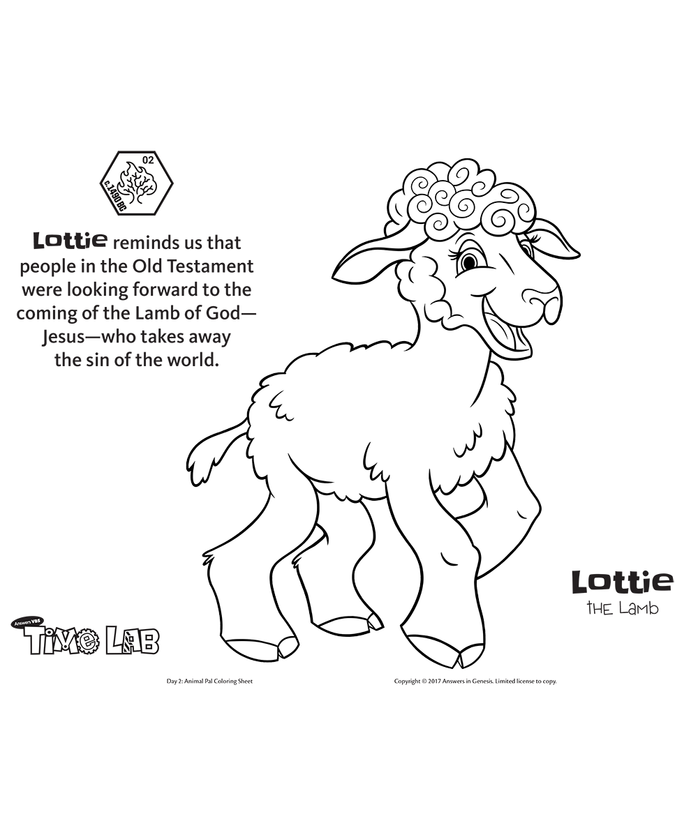 Lottie the Lamb