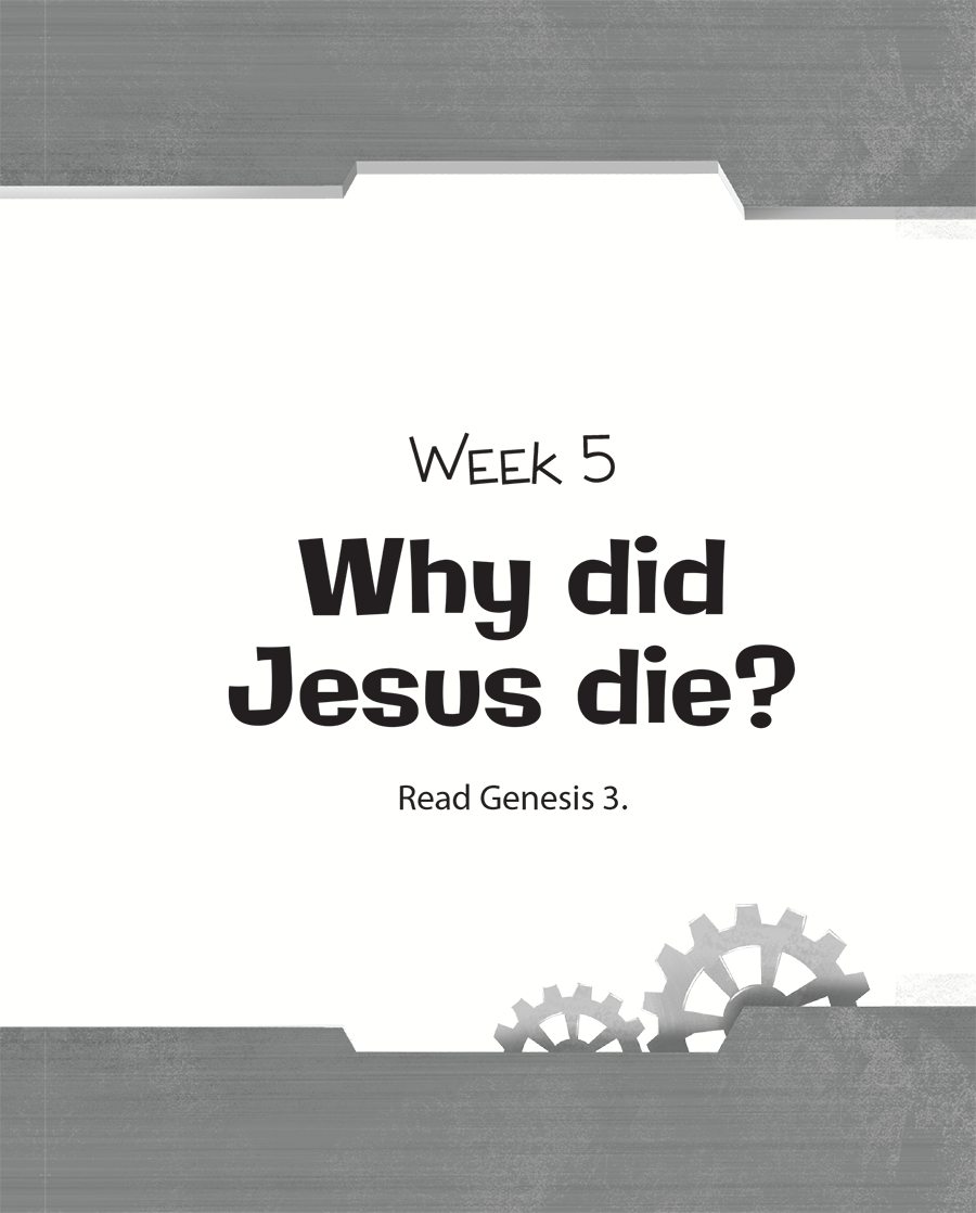 Week Five: Why Did Jesus Die?