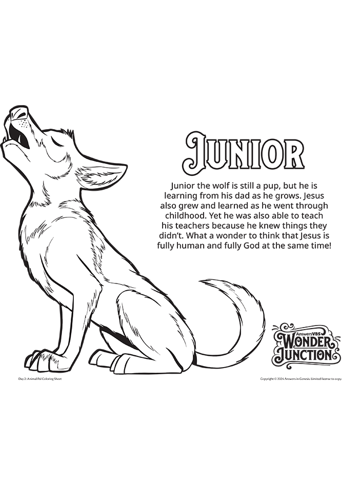 Junior the Wolf Pup