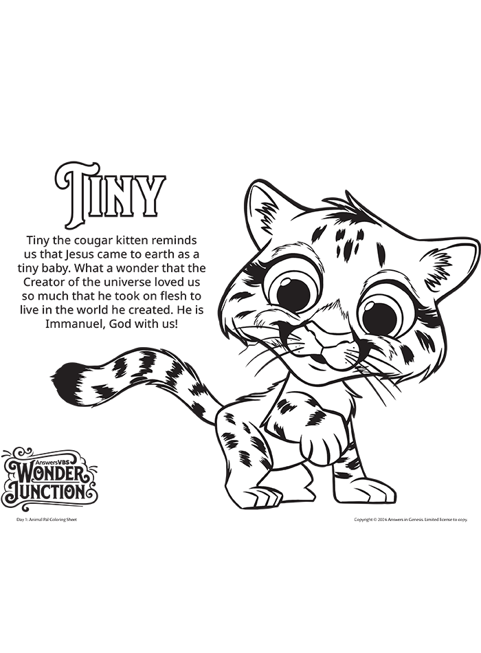 Tiny the Cougar Kitten