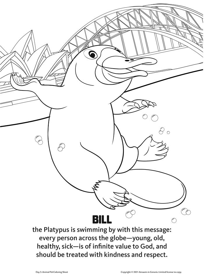 Bill the Platypus