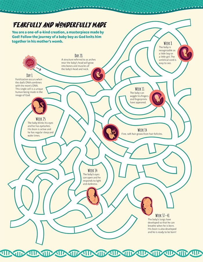 Fearfully And Wonderfully Made