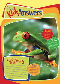 Red-Eyed Tree Frog