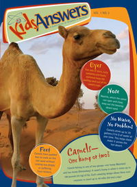 The Camel—One Hump or Two?