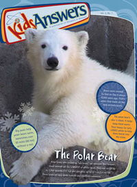 The Polar Bear