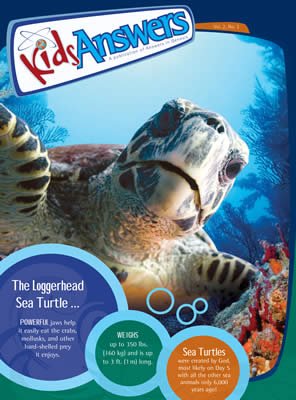 The Loggerhead Sea Turtle