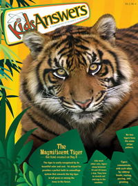 The Magnificent Tiger