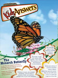 The Monarch Butterfly