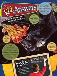 Bats: Marvels or Monsters?