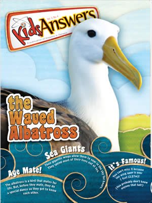 The Waved Albatross