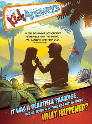 Beautiful Paradise—What Happened?