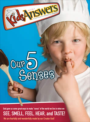 Our 5 Senses