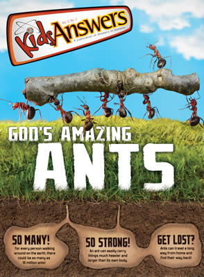 God’s Amazing Ants
