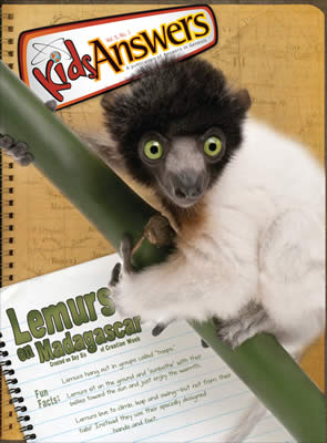 Lemurs on Madagascar