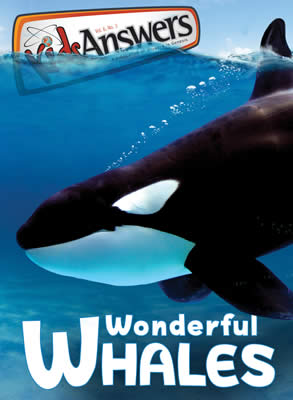 Wonderful Whales