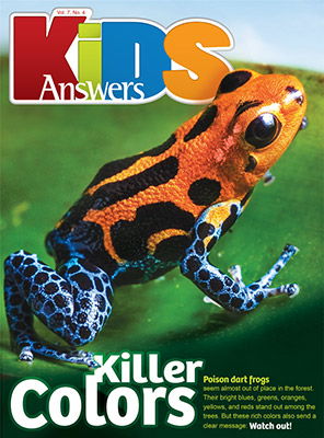 Killer Colors