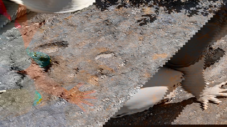 How Did Dinosaur Footprints Fossilize?