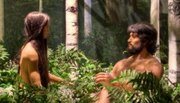 Creation Week: Day Six