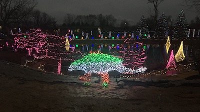 Dino Lights and Humble Sights!
