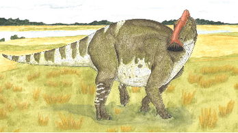Adventures in the World of Dinosaurs