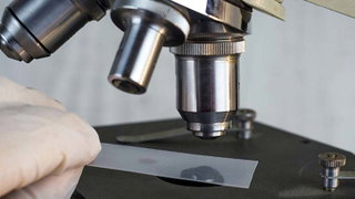 More Than a Magnifying Glass: The Many Faces of Forensic Science