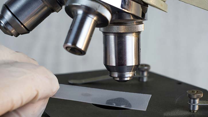 More Than a Magnifying Glass: The Many Faces of Forensic Science