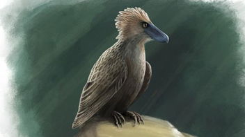 Are Velociraptor Wrists Birdlike?