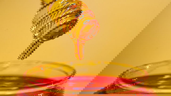 Sweet Life—Why Doesn’t Honey Go Bad?