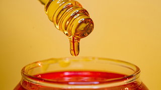 Sweet Life—Why Doesn’t Honey Go Bad?