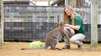 What’s New at the Zoo