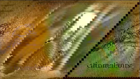 Chameleons