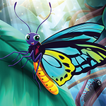 Bliss the Birdwing Butterfly