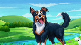 Guide the Border Collie
