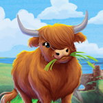 Shirley the Highland Cow