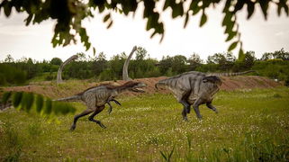 Are Dinosaurs Real According to the Bible?