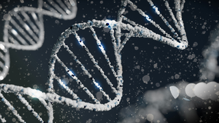 DNA Detective: How God’s Design Helps Solve Mysteries
