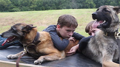 The Dog and Its Incredible Sense of Smell