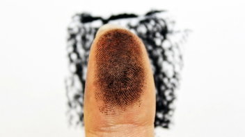 Do Insects Have Fingerprints?
