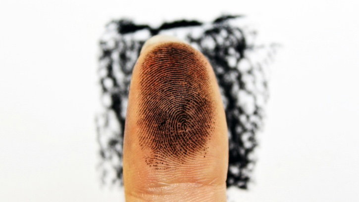 Do Insects Have Fingerprints?