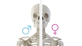 God’s Design in Bones: Identifiable and Purposeful