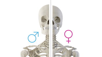 God’s Design in Bones: Identifiable and Purposeful