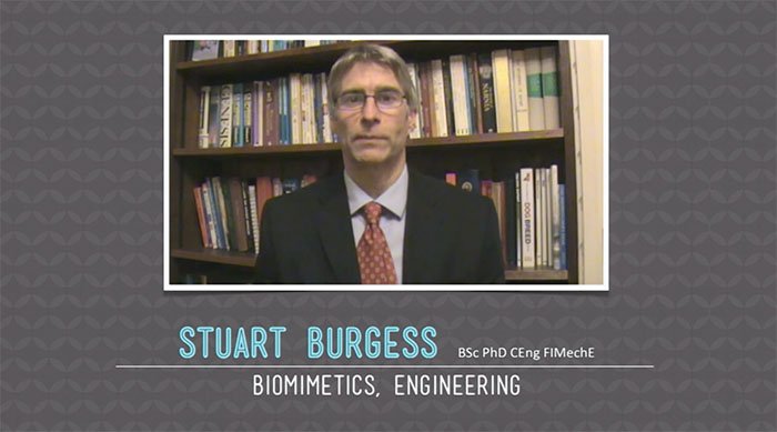 Stuart Burgess