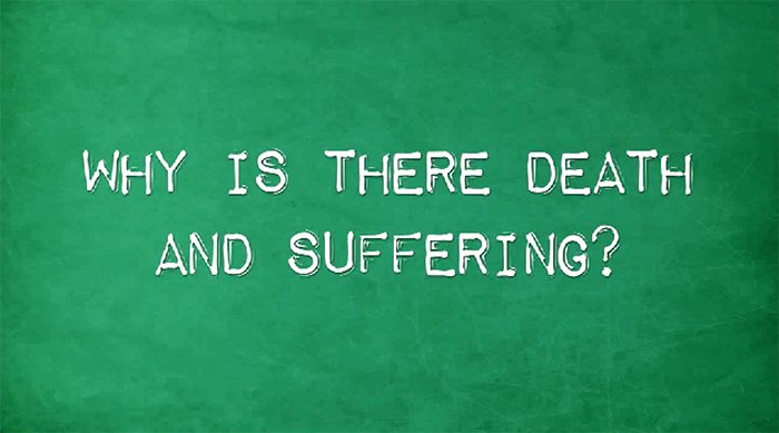 Why Is There Death and Suffering?
