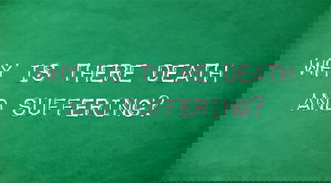 Why Is There Death and Suffering?