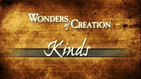 Kinds